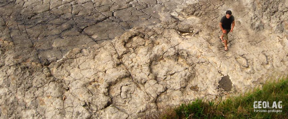 Huellas de dinosaurio en la Costa Jurásica de Asturia