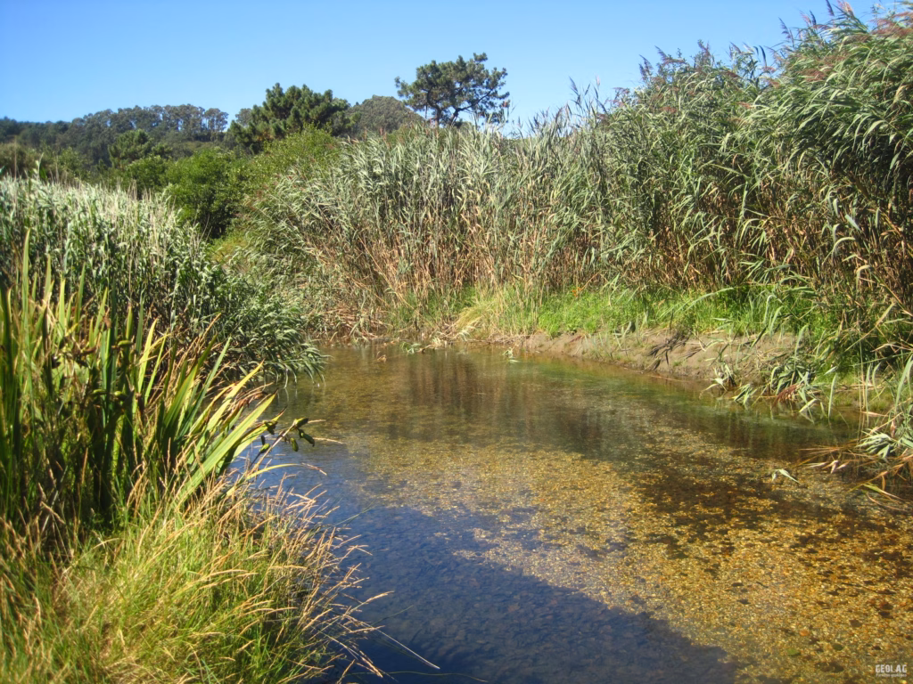 Image of the Barayo River