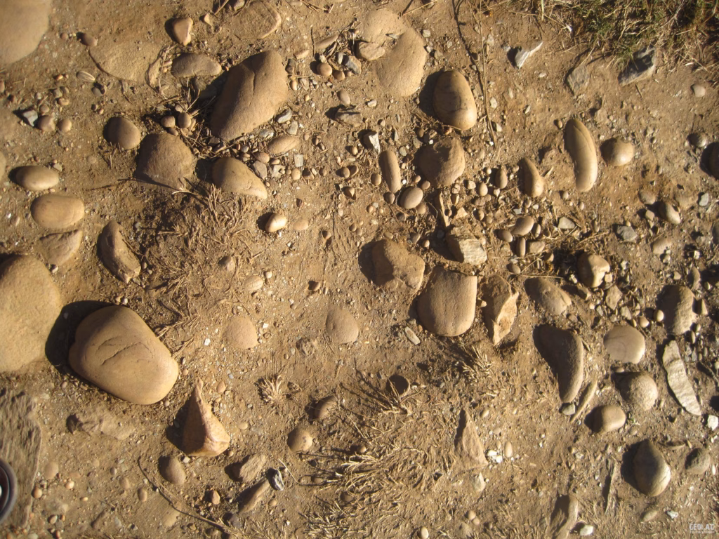 Rounded quartzite pebbles from ancient beach deposits